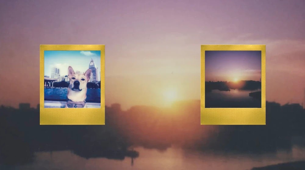 Polaroid Now+ Gen 3 - Image 4